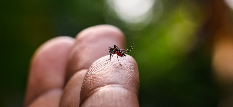 Brasil Intensifica Combate à Dengue com “Dia Nacional de Mobilização