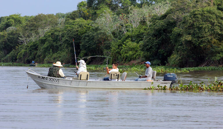 Governo de Mato Grosso Flexibiliza Proibição e Libera Pesca de Mais de 100 Espécies nos Rios do Estado