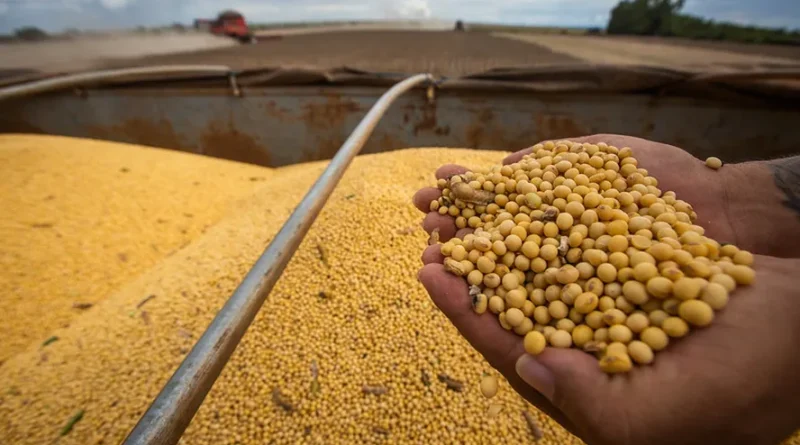 Presidente da Aprosoja Denuncia Ação de Cartel entre Empresas de Grãos e Prejuízo Bilionário para Mato Grosso