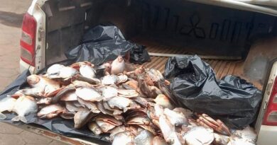 Sema e PM apreendem 45,5 quilos de pescado das espécies pacupeva e piranha em Várzea Grande