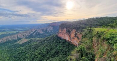 No Dia da Biodiversidade, ICMbio assina concessão do Parque de Chapada dos Guimarães