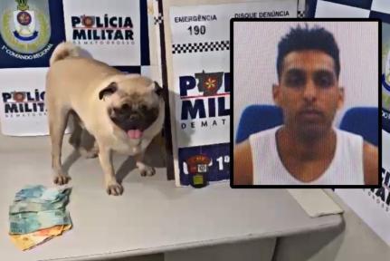 Casal Furta Cachorro e Cobra Resgate; Mulher É Presa em Cuiabá