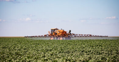 Mato Grosso puxa alta na estimativa de produção agrícola e consolida liderança nacional
