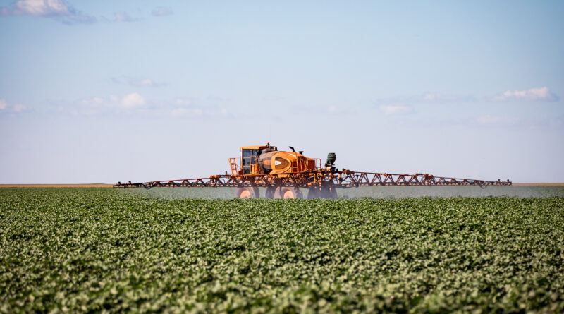 Mato Grosso puxa alta na estimativa de produção agrícola e consolida liderança nacional