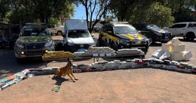 Operação integrada do Gefron e PRF apreende 280 quilos de drogas com auxílio de cão farejador