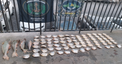 Mais de 20 quilos de pescado irregular são apreendidos pelo Batalhão Ambiental