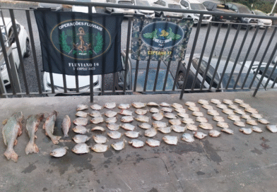 Mais de 20 quilos de pescado irregular são apreendidos pelo Batalhão Ambiental