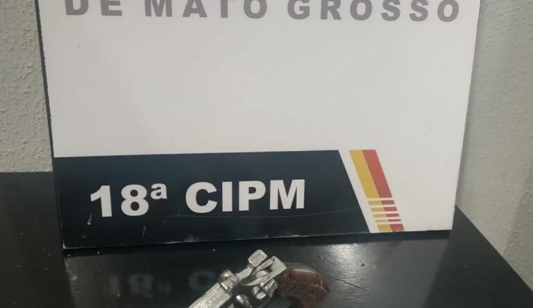 Polícia Militar prende homem por porte ilegal de arma de fogo em São José do Rio Claro