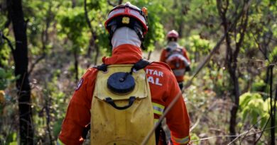 Corpo de Bombeiros extingue incêndio no Parque Estadual Serra Ricardo Franco