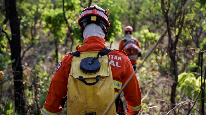 Corpo de Bombeiros extingue incêndio no Parque Estadual Serra Ricardo Franco