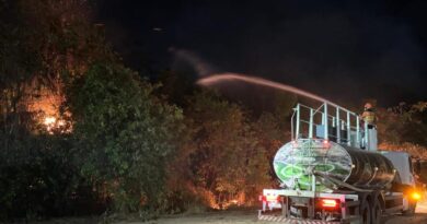 Bombeiros extinguem incêndio e impedem que chamas destruam Parque Florestal