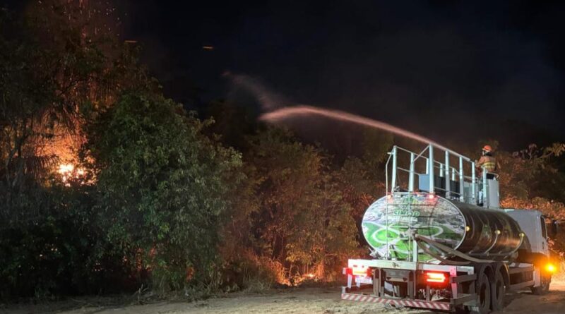 Bombeiros extinguem incêndio e impedem que chamas destruam Parque Florestal