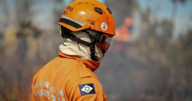 Corpo de Bombeiros extingue seis incêndios florestais e combate 22 neste sábado (23)
