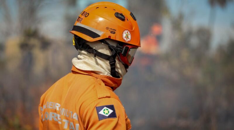 Corpo de Bombeiros extingue seis incêndios florestais e combate 22 neste sábado (23)