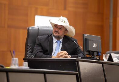 Cattani cria Comissão Especial de Defesa da Mulher com foco no combate ao feminicídio em MT