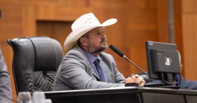 ’Lideranças partidárias’ derrubam proposta de Cattani que proibia posse de condenados por ‘rachadinha’ na ALMT