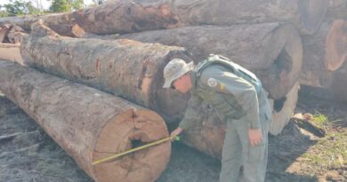 Sema apreende maquinário e aplica R$ 130 mil em multas por desmate ilegal em Apiacás