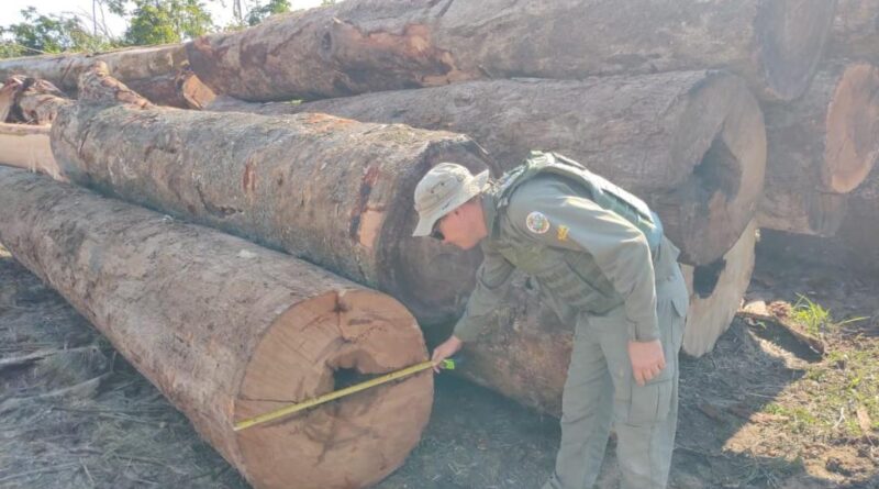 Sema apreende maquinário e aplica R$ 130 mil em multas por desmate ilegal em Apiacás