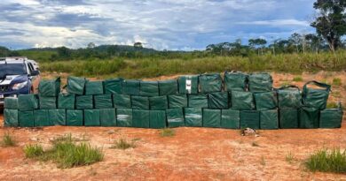 Polícia Militar registra aumento de 82% nas apreensões de drogas em um ano do programa Tolerância Zero