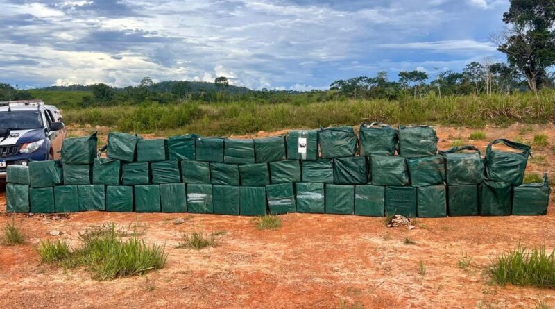 Polícia Militar registra aumento de 82% nas apreensões de drogas em um ano do programa Tolerância Zero