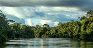 Governo de MT constrói solução definitiva e resolve demanda antiga do Parque Cristalino II