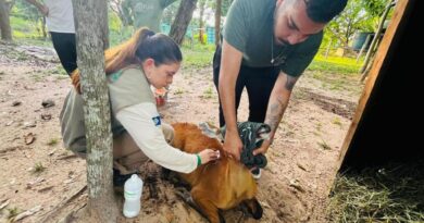 Sema promove reabilitação de animais resgatados na região do Pantanal