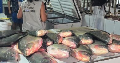 Operação conjunta apreende aproximadamente meia tonelada de pescado irregular em feira da Capital