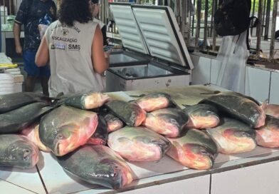 Operação conjunta apreende aproximadamente meia tonelada de pescado irregular em feira da Capital