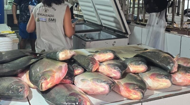 Operação conjunta apreende aproximadamente meia tonelada de pescado irregular em feira da Capital