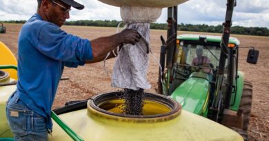 Agropecuária gera mais de 10 mil empregos em Mato Grosso e destaca Estado no cenário nacional