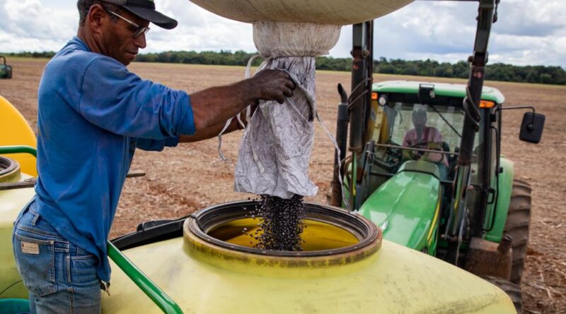 Agropecuária gera mais de 10 mil empregos em Mato Grosso e destaca Estado no cenário nacional