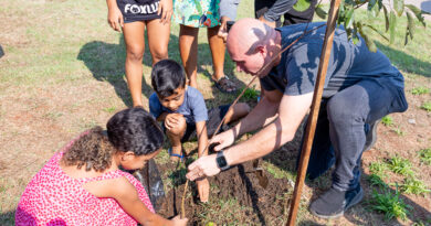 Prefeitura de Cuiabá planta mil árvores em uma semana com campanha de arborização