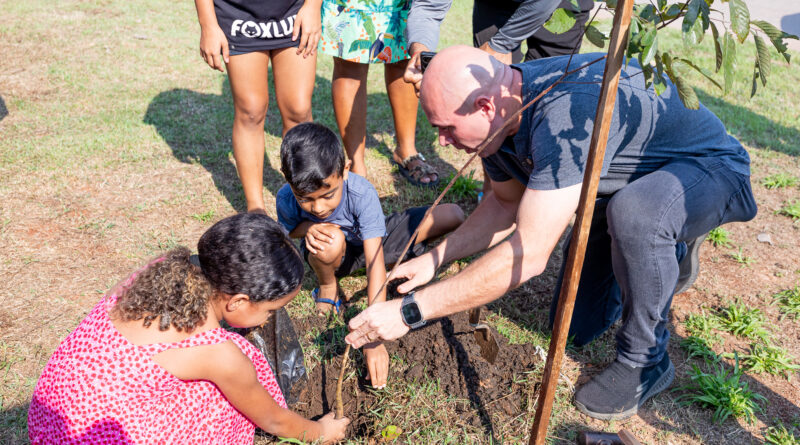 Prefeitura de Cuiabá planta mil árvores em uma semana com campanha de arborização